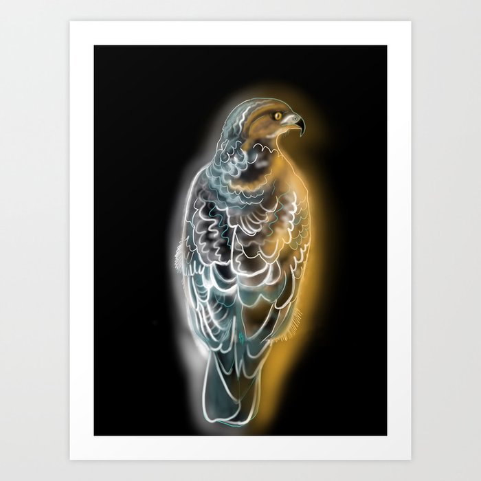 Glowing Hawk Art Print