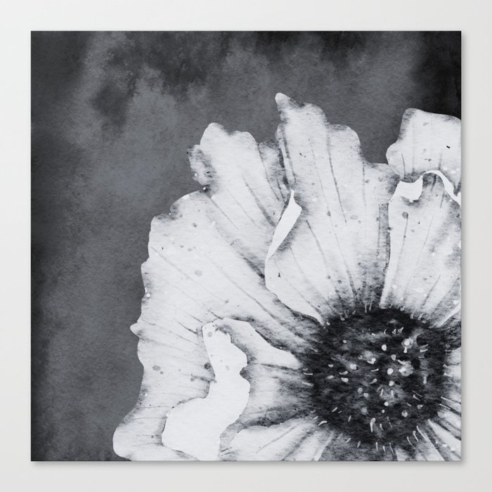 Black and White Poppy Canvas Print