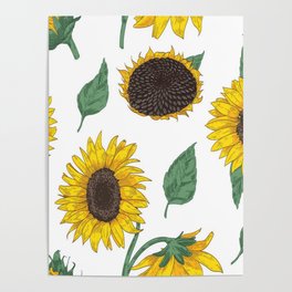 Sunflower pattern Poster