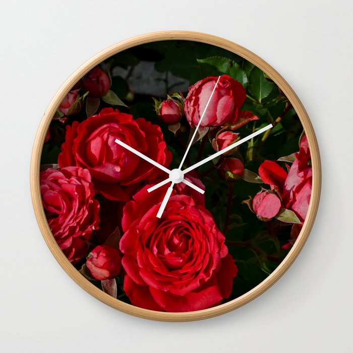 red rosebush deux Wall Clock