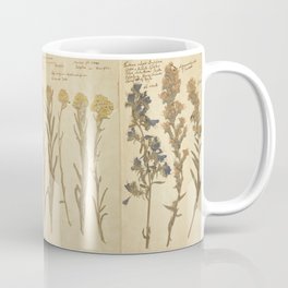 Vintage Herbarium  Mug