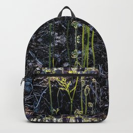 Fiddle heads Backpack | Nature, Digital, Botany, Ground, Boho, Fiddlehead, Forest, Pagan, Bohemian, Gothic 