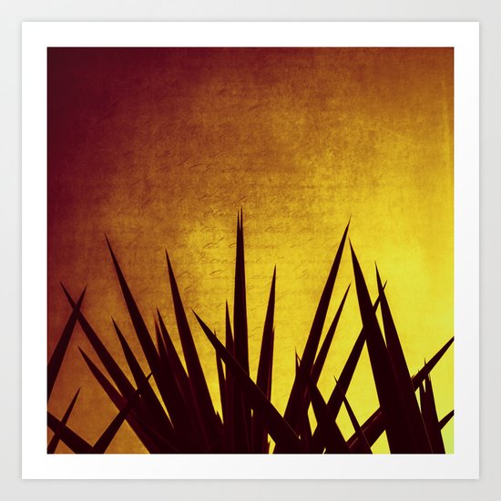 Yucca Sunset Art Print