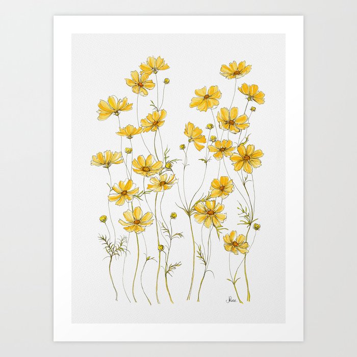 Yellow Cosmos Flowers Kunstdrucke | Drawing, Ink-pen, Acrylic, Muster, Cosmos, Blumen, Blume, Floral, Yellow, Wild-flowers
