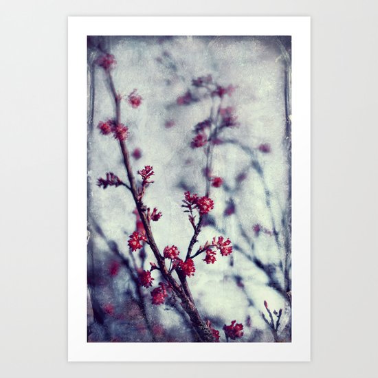 scarlet spring Art Print