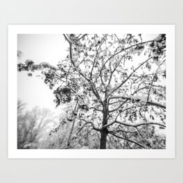 Snow Tree Bw Art Print