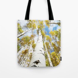 Aspen Trees in Nature Tote Bag