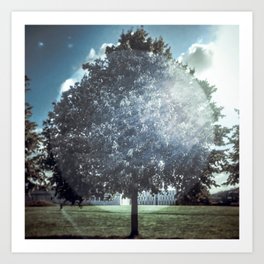 Tree Of Life Art Print | Vintage, Photo, Landscape, Nature 