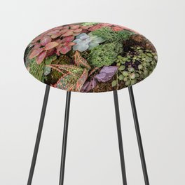 Succulents, Moss, Cactus Counter Stool