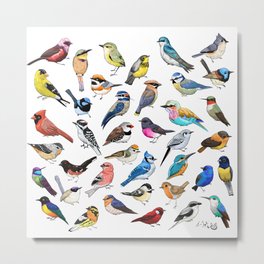 Birds Metal Print | Nature, Graphicdesign, Digital, Animal, Illustration 