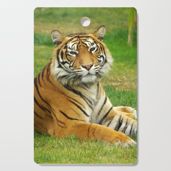 Portrait of a tiger in the nature Cutting Board