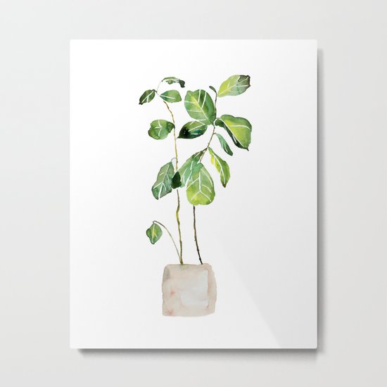 Fig tree watercolor Metal Print