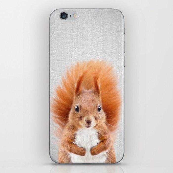 Squirrel 2 - Colorful iPhone Skin