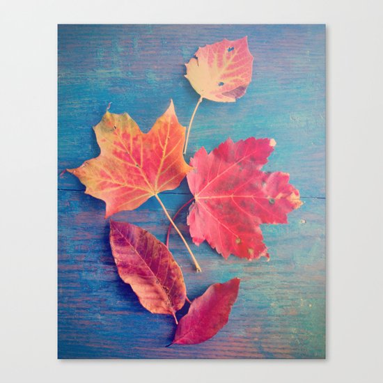 The Colors of Autumn Canvas Print