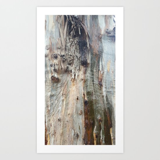 Colors of a Eucalyptus Art Print
