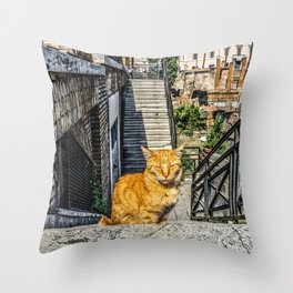 Argentina Photography - Beautiful Orange Cat Standing At The Stone Stairs Throw Pillow