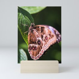 Blue Morpho Butterfly 4 Mini Art Print
