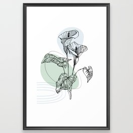 Calla and lily  Sketch Drawing in Scandinavian style Framed Art Print