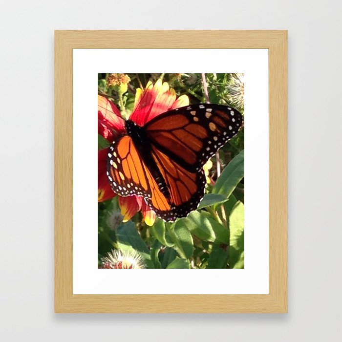 Butterfly Kisses Framed Art Print