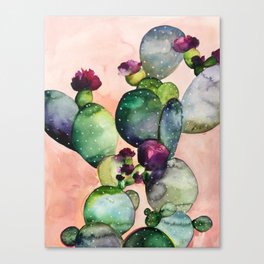 Desert Rose Canvas Print