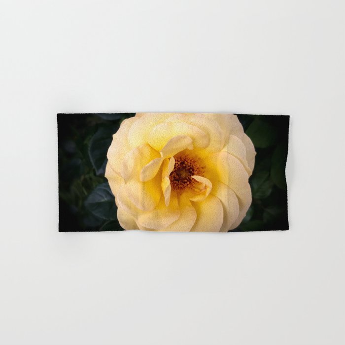 Pastel yelow rose blossom Hand & Bath Towel