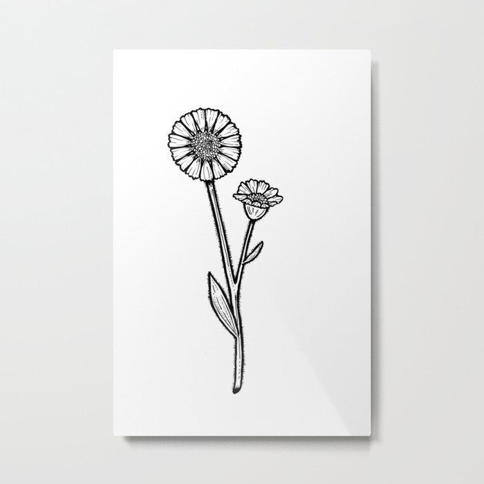 Desert Sunflower Metal Print