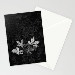 winter Stationery Cards