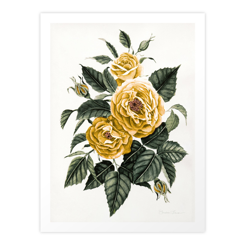 Yellow Roses Art Print by shealeenlouise