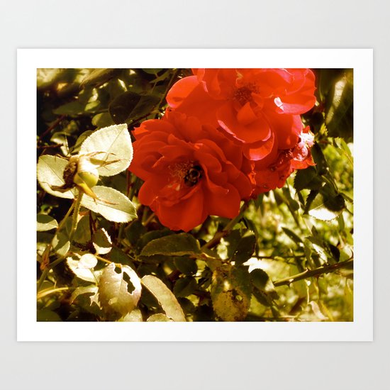 Romance Art Print