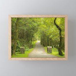 Into the Woods Framed Mini Art Print