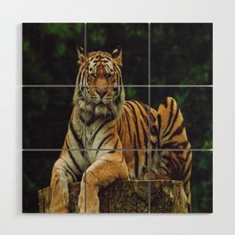 tiger Wood Wall Art