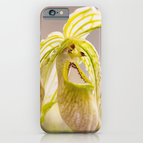 Phragmidedium Orchid iPhone & iPod Case