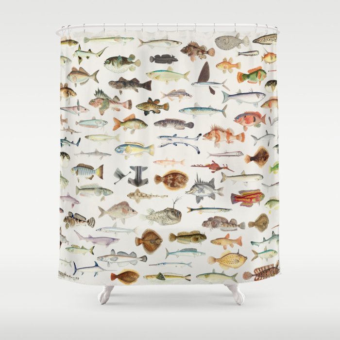 Naturalist Fish Chart Shower Curtain by Blue Specs Studio