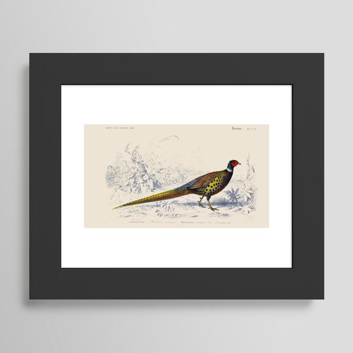 Framed Art Print