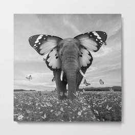 monarch II Metal Print | Soaringanchor, Wildlife, Surreal, Monochromatic, Digital Manipulation, Endangered, Photo, Flowerfield, Butterflies, Black And White 