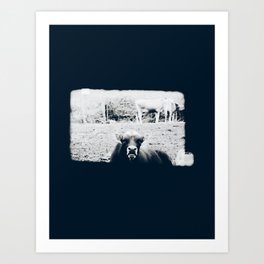 The Bull  - Support my small business Art Print