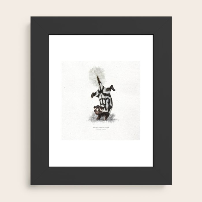Framed Art Print