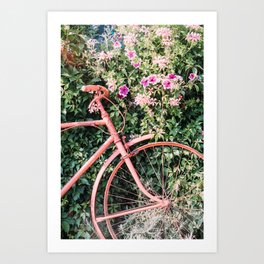 Vintage Pink Bicycle Against Purple Flower - Idyllic Art Print