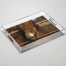 Rustic Horse Nose on Ranch Acrylic Tray
