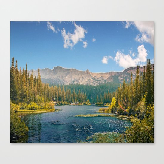 Penetrating in nature Canvas Print