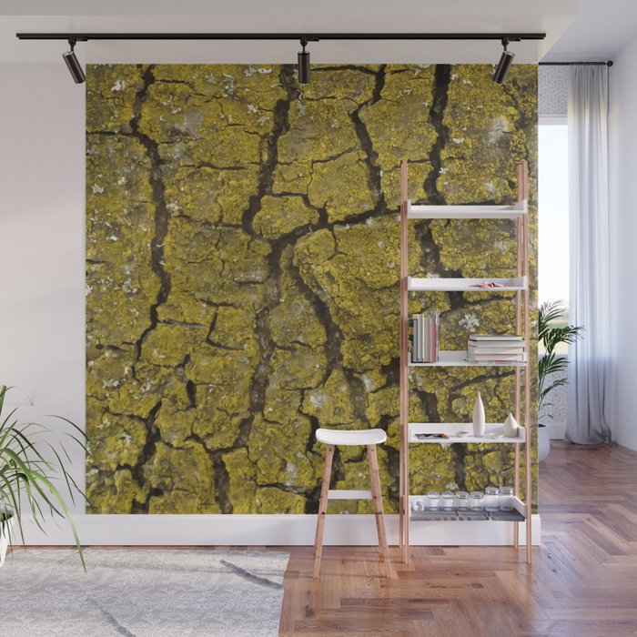 Birch Bark Pattern Wallpaper Wall Mural by Magic Murals