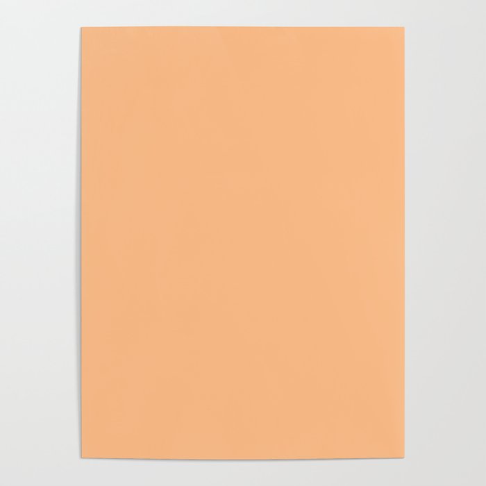 Apricot-Orange Poster