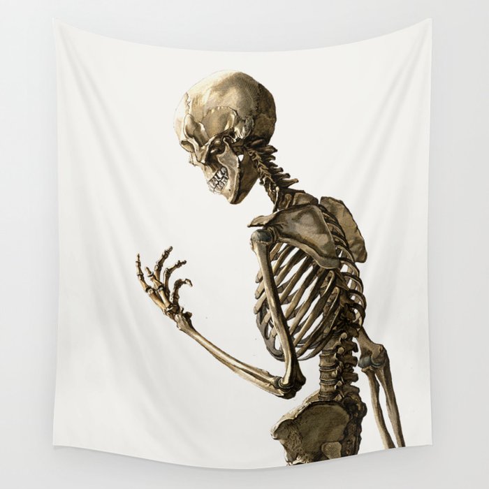 Christoph Jacob Trew -  Tabulae osteologicaeB Wall Tapestry