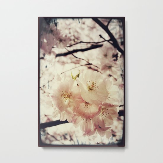 Spring Fever Metal Print