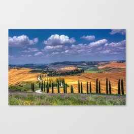 Cypress trees and meadow with typical tuscan house Canvas Print