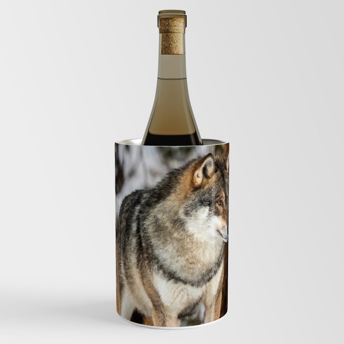 Grey Wolf Canis Lupus Two Wolves Wine Chiller