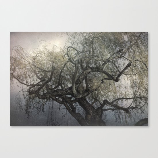 The Whispering Tree Canvas Print