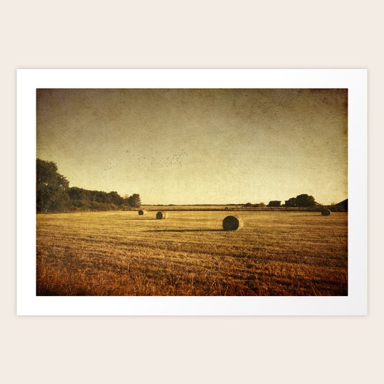 Rural Evening Art Print