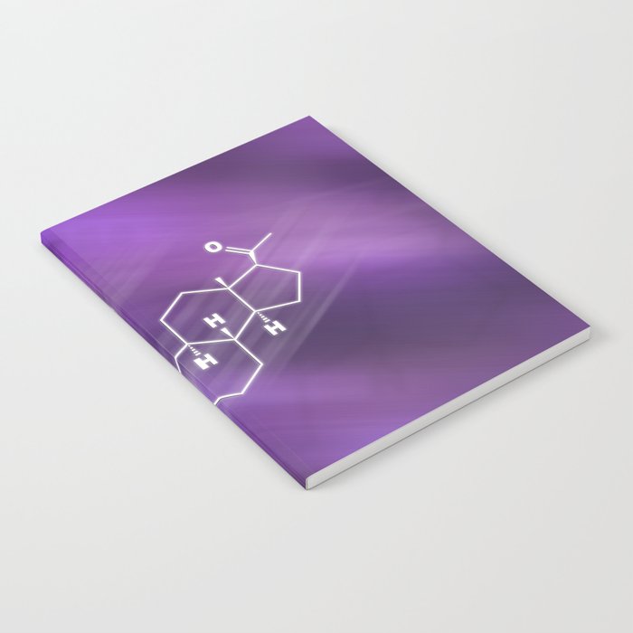 Progesterone Hormone Structural chemical formula Notebook