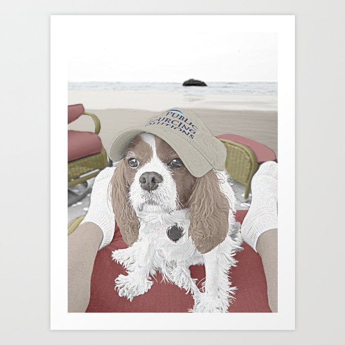 Spaniel at the Beach Art Print